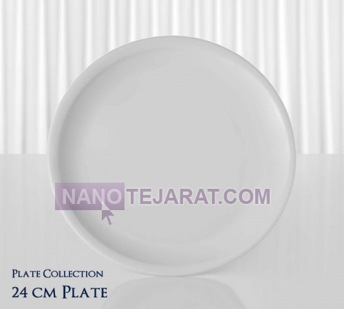 restaurant porcelain- flat plate